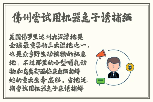 中国VODAFONEWIFI精品